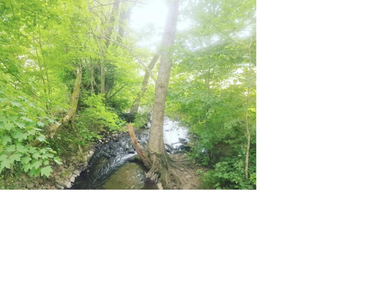 Aussergewoehnliche Auszeit - Metime1 Felsberg Buitenkant foto