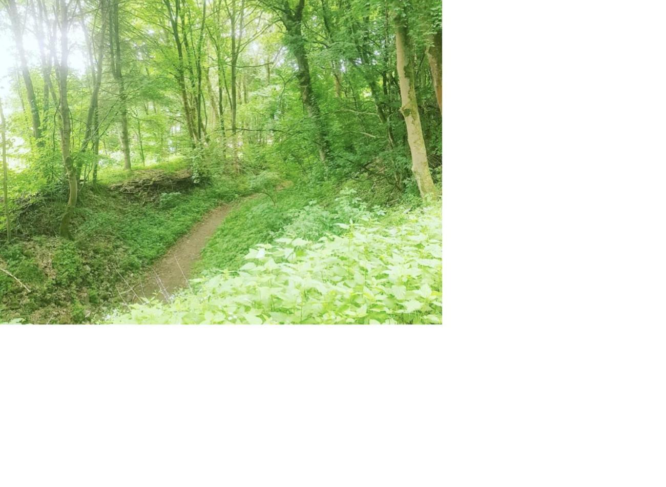 Aussergewoehnliche Auszeit - Metime1 Felsberg Buitenkant foto
