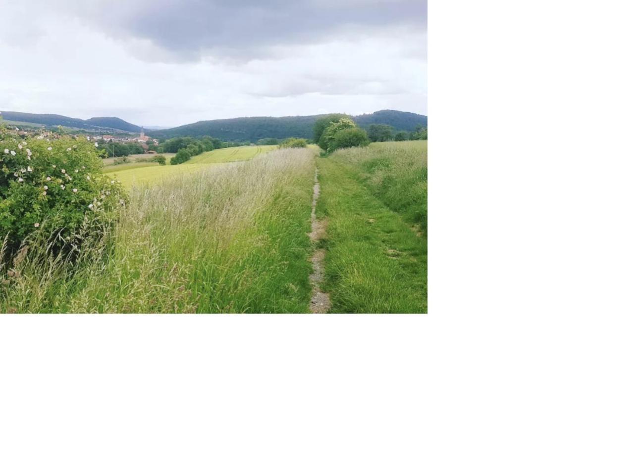 Aussergewoehnliche Auszeit - Metime1 Felsberg Buitenkant foto